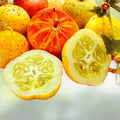 Lemon Cucumber Seeds 100+ Heirloom Exotic Vegetable for Garden Cucumis sativus