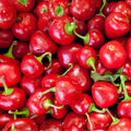 Red Sweet Cherry Pepper Seeds, Heirloom Non-GMO, 20+ Seeds, Capsicum annuum, Sweet Cherry Pepper Seed Pack