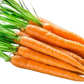 Heirloom Carrot Seeds 100+ Non-GMO Danvers Half Long Organic Vegetable Gardening Daucus carota