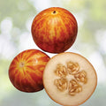 Tigger Melon Seeds - 20 Rare Exotic Fruit Seeds for Planting - Cucumis melo var. tigger