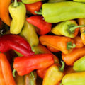 Organic Cubanelle Sweet Frying Pepper Seeds 50 Pack Capsicum annuum USA Grown