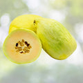 Cantaloupe Seeds 5000 Count Crenshaw Green Sweet Peach Flesh Egg-Shaped Melon Cucumis melo Yellow Green Rind