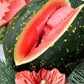 Organic Moon and Stars Watermelon Seeds 20 Pack Citrullus lanatus USA Grown Non-GMO Heirloom Seed