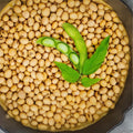 Bulk Vegan Soybeans 22Lbs Gluten Free Non-GMO Salad Sprouts Glycine max Grown in Iowa