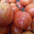 Red Zebra Tomato Seeds, Organic 20-Pack, Heirloom Variety, Lycopersicon esculentum, USA Grown, Ships Free