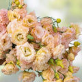 Champagne Lisianthus Flower Seeds - 20 Pelleted Seeds for Planting - Eustoma grandiflorum - Elegant Pink Blooms