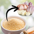 Garlic Powder 4 oz – Dried All-Purpose Seasoning – Flavorful Spice for Cooking – Allium sativum
