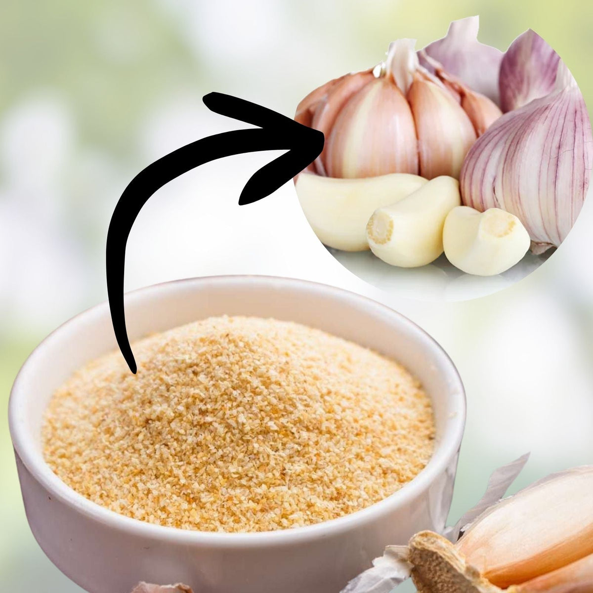 Garlic Powder 4 oz – Dried All-Purpose Seasoning – Flavorful Spice for Cooking – Allium sativum