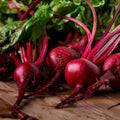 Heirloom Beet Seeds 500+ Non-GMO Ruby Queen Dark Red Sweet Beet Beta vulgaris Vegetable Seeds