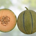 Tiger Melon Seeds - 10 Rare Exotic Garden Fruit Seeds - Cucumis melo var. tigrius - Unique Tropical Melon Variety