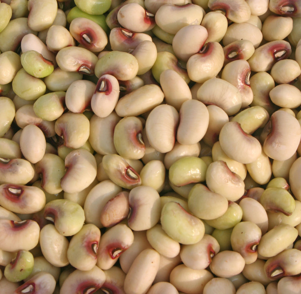 50 PURPLE PINKEYE COWPEA Southern Cow Pea Crowder Vigna Unguiculata Vegetable Legume Seeds