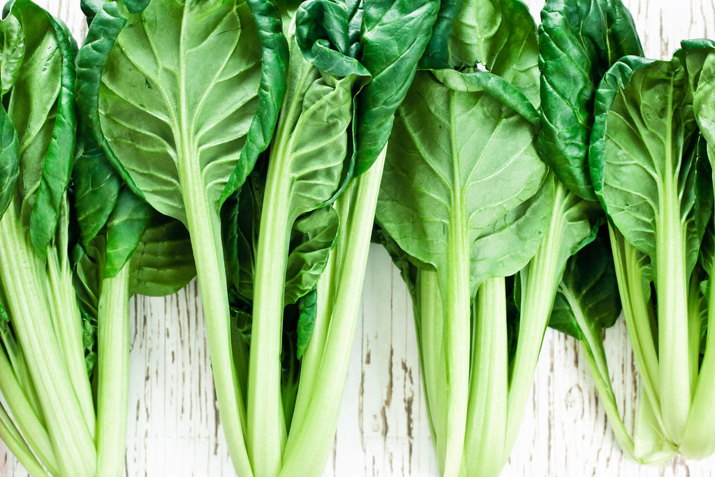 1000 TATSOI Brassica Rapa Rosularis Tat Soi Bok Choy Spinach Mustard Vegetable Seeds