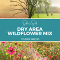 Dry Area Wildflower Seed Mix 1,000 Seeds Drought-Tolerant Native Flowers for Low-Water Gardens
