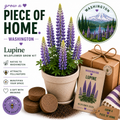 Washington Lupine Wildflower Grow Kit