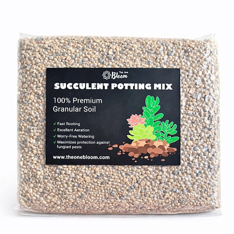 2.5 lbs / 5 lbs Premium Potting Soil for Succulents - Promotes Rapid Root Growth