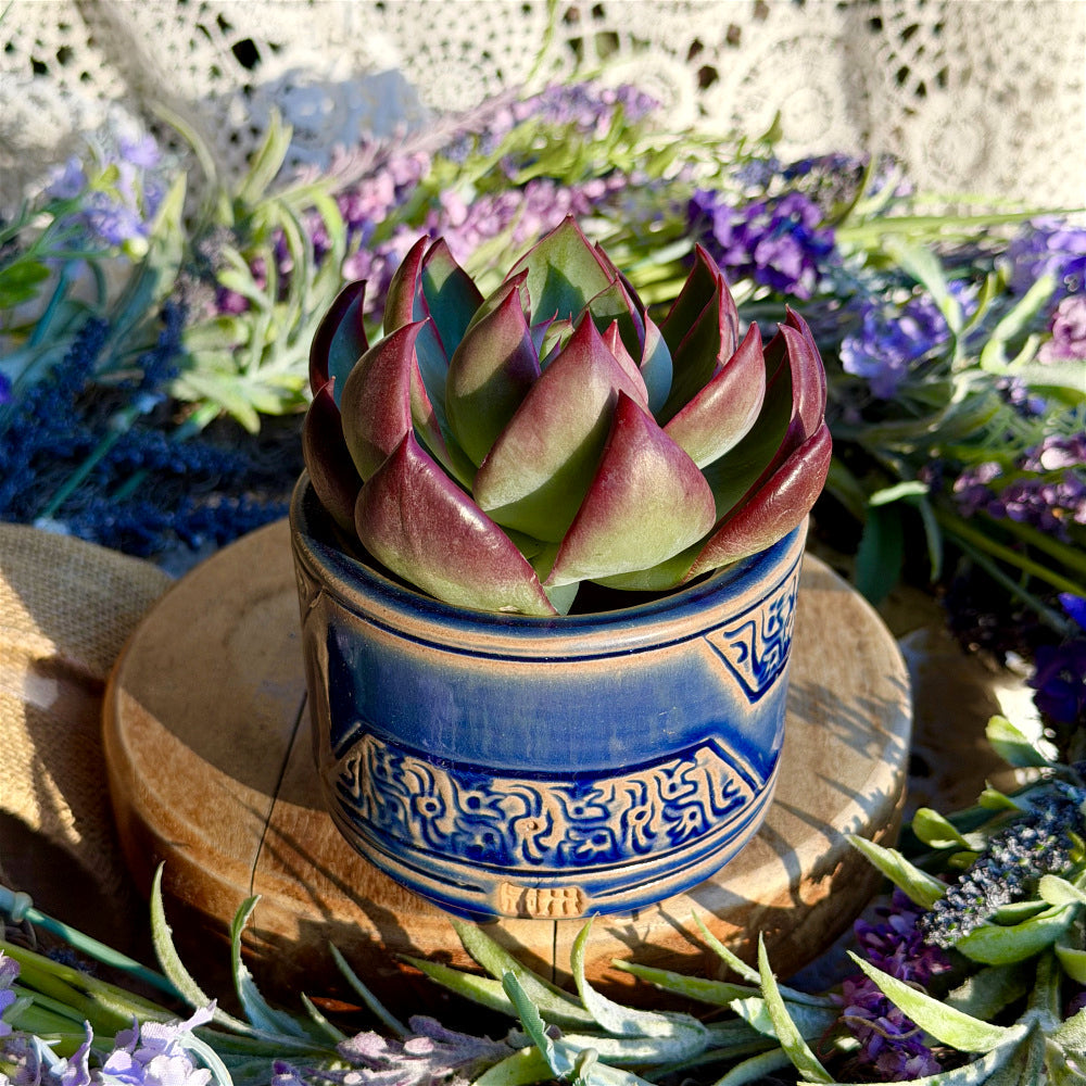 WS-0059 Unique Handmade Pottery Planter Pot - Pot rim diameter: 3"