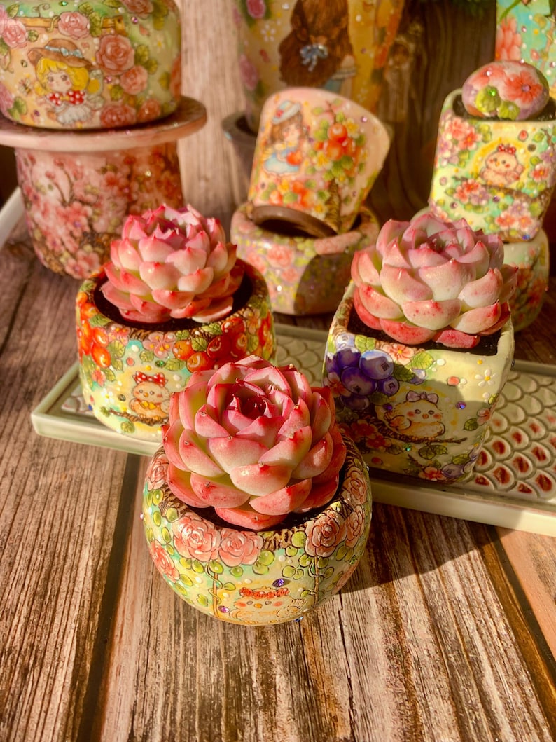 Pet-safe Succulent - Echeveria 'Silhouette' - Classic Rose-shaped Rosette Plant
