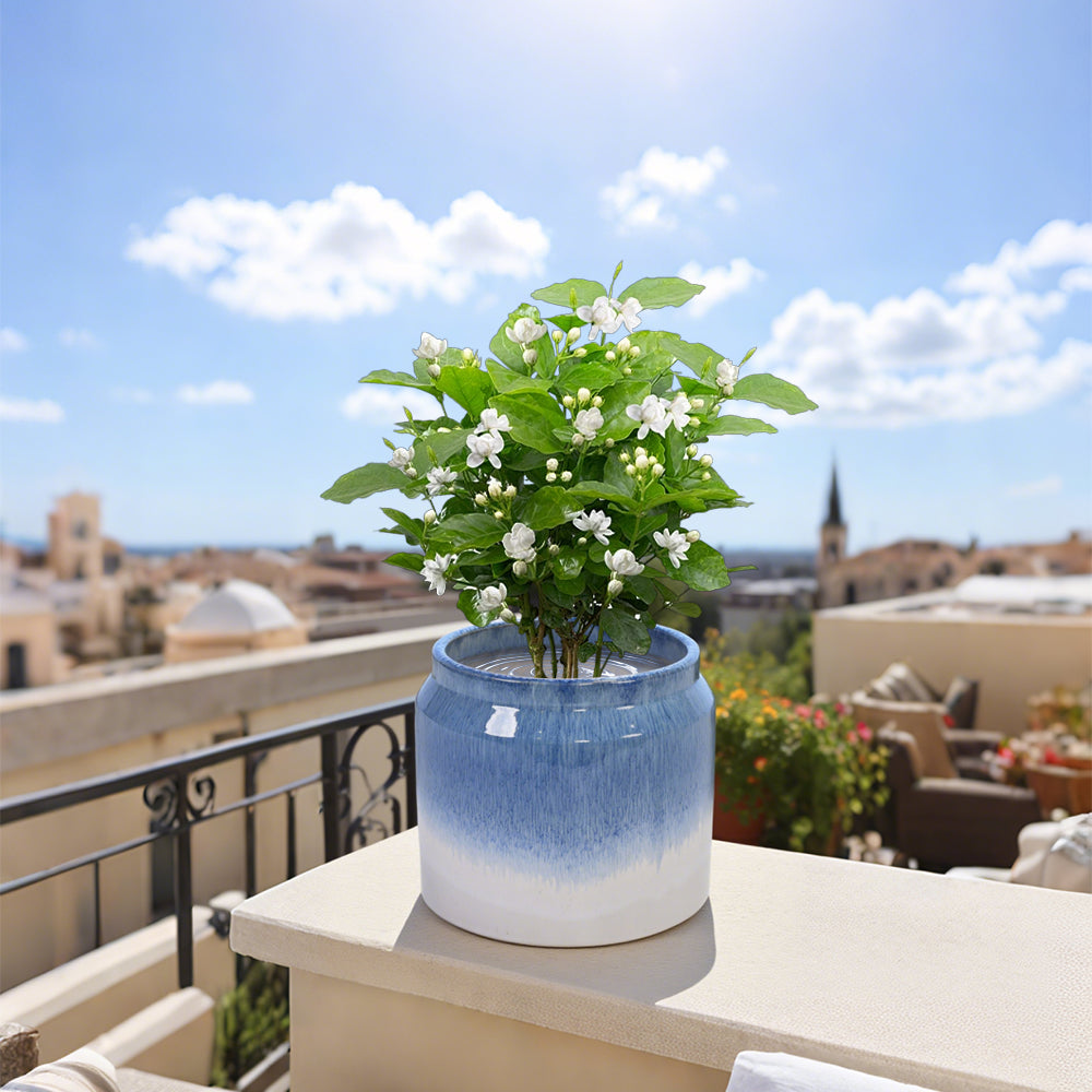 Set of 2 Gradient Ceramic Flowerpot, Modern Planter for Patio, Garden, Windowsill - White Blue