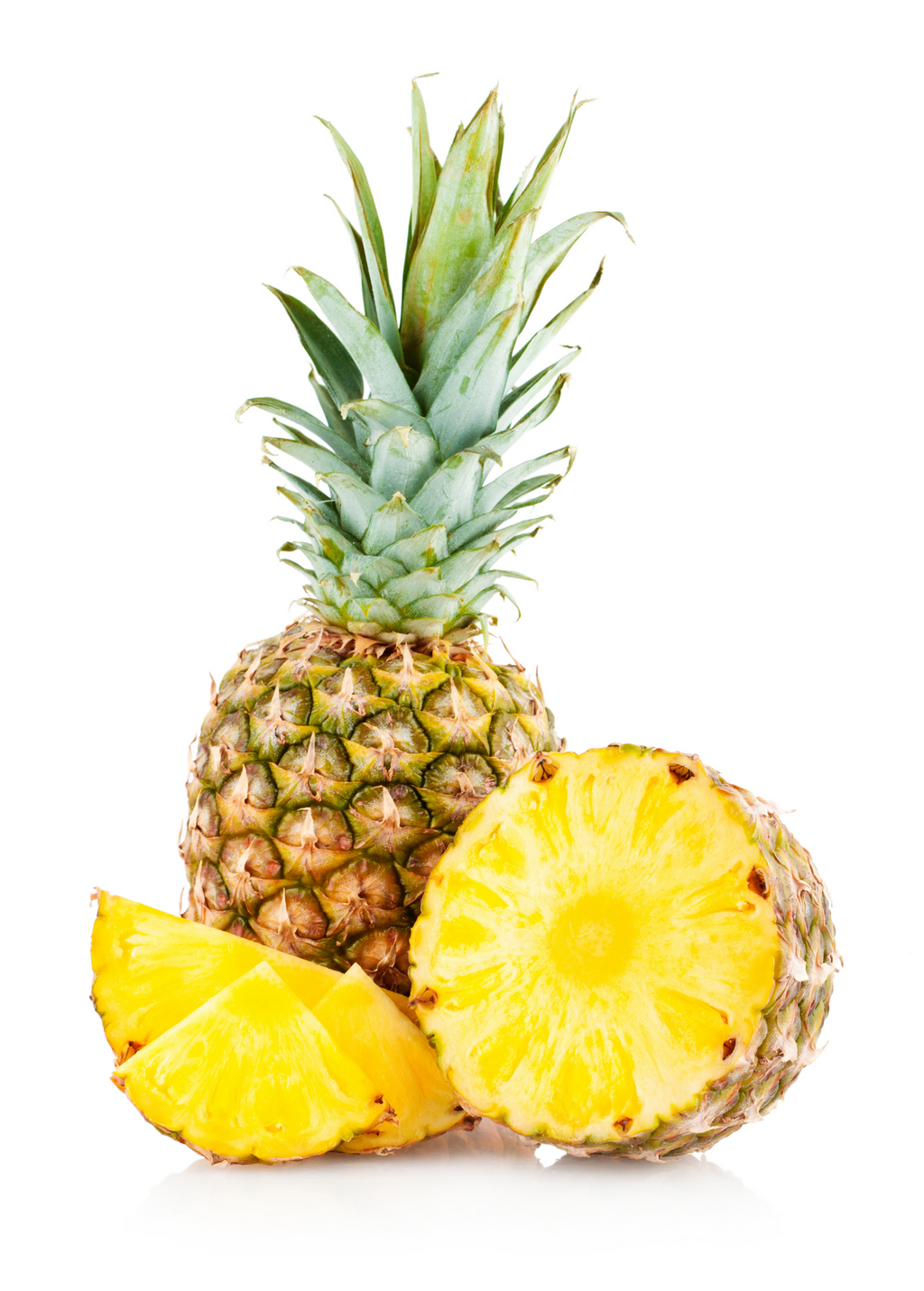 Pineapple 'Elite Gold' (Ananas comosus)