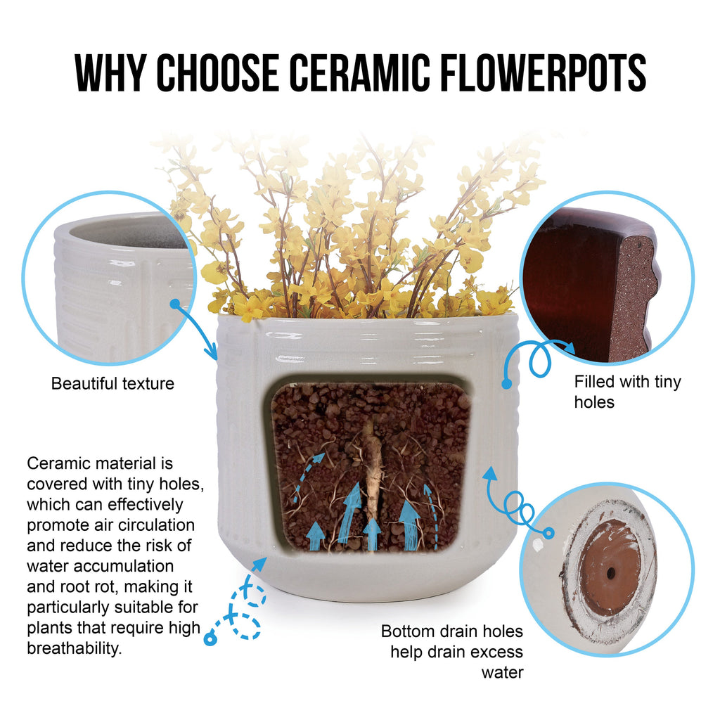 Ceramic Flowerpot, Modern Planter for Patio, Garden, Windowsill - White