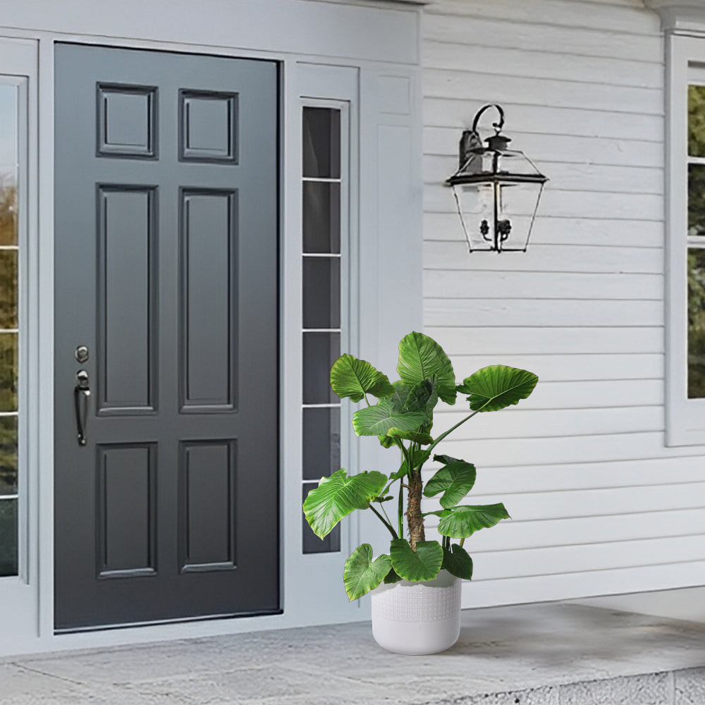 Set of 3 Grid Ceramic Flowerpot, Modern Planter for Patio, Garden, Windowsill - Ancient White