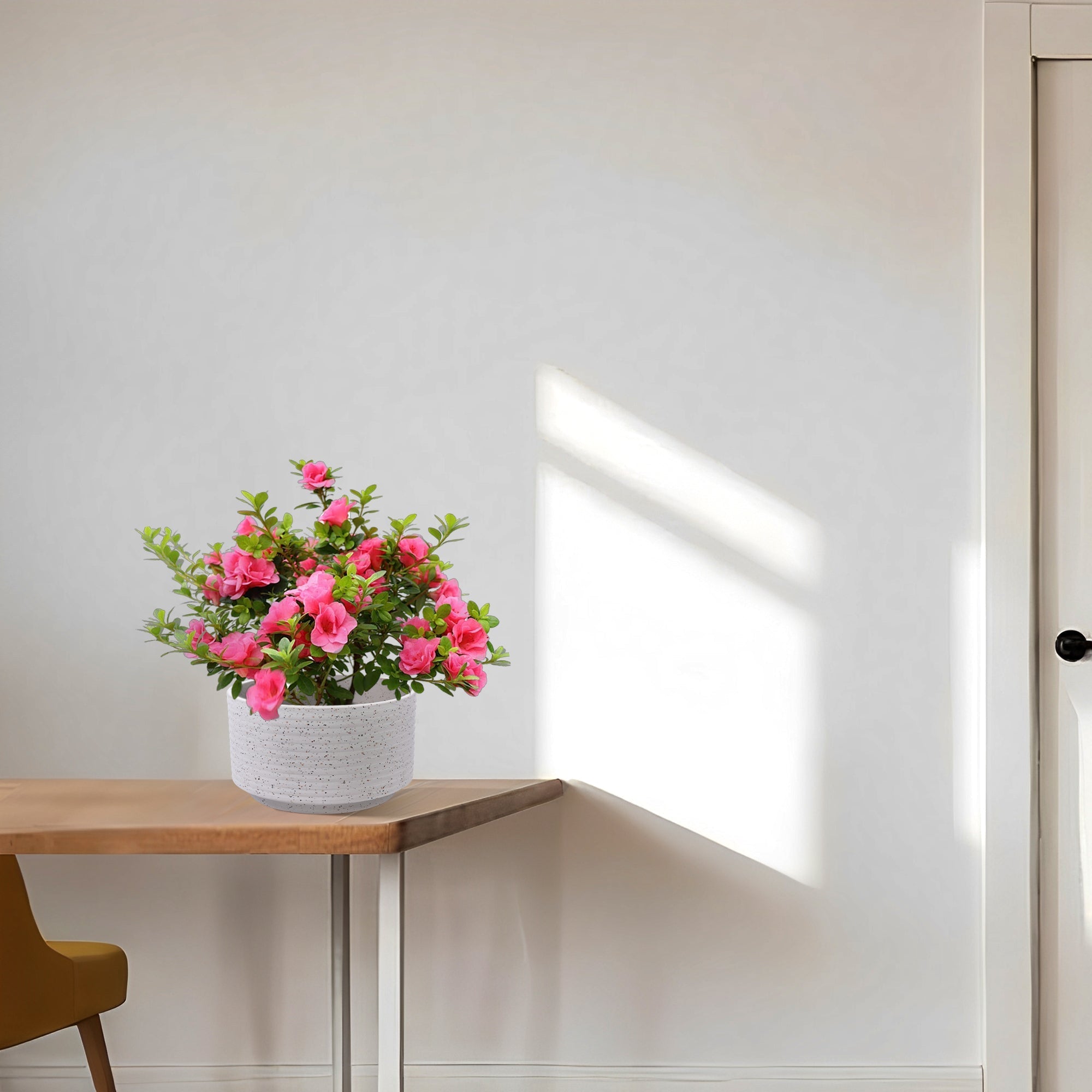 2 Pieces Ceramic Flowerpot, Modern Planter for Patio, Garden or Windowsills - Milk White