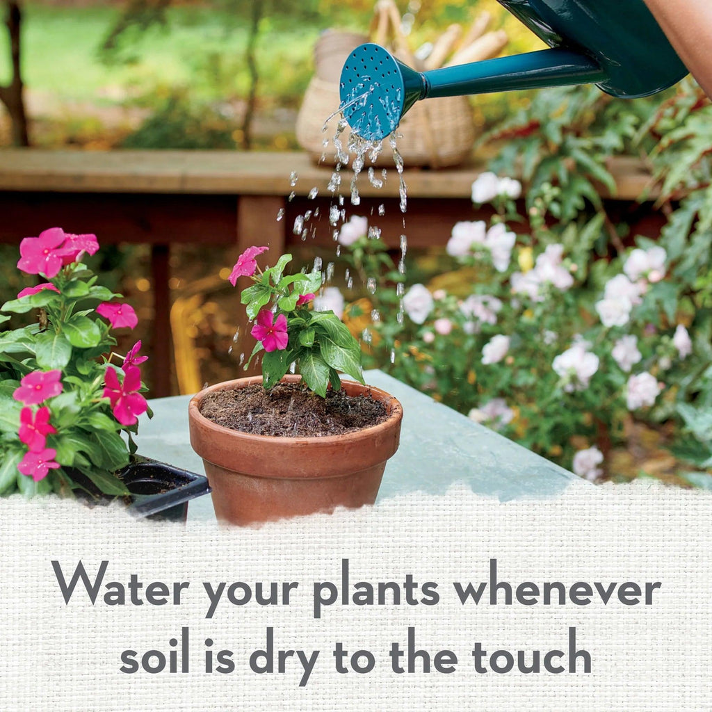 Organic Potting Soil for Container Gardens, 8 Dry Qt.