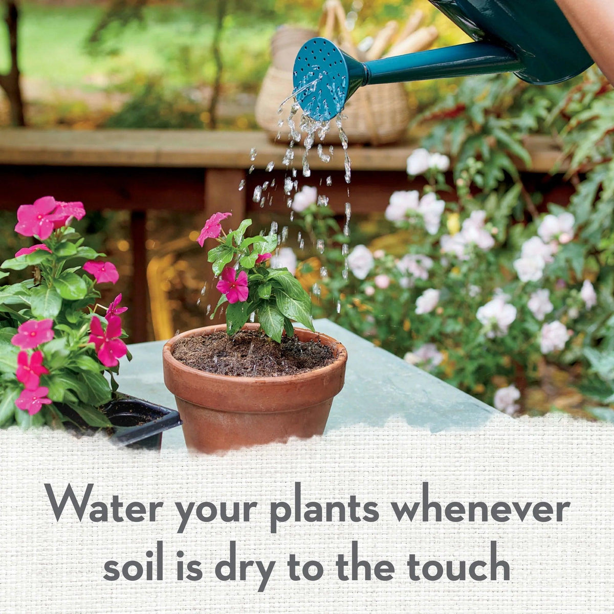 Organic Potting Soil for Container Gardens, 8 Dry Qt.