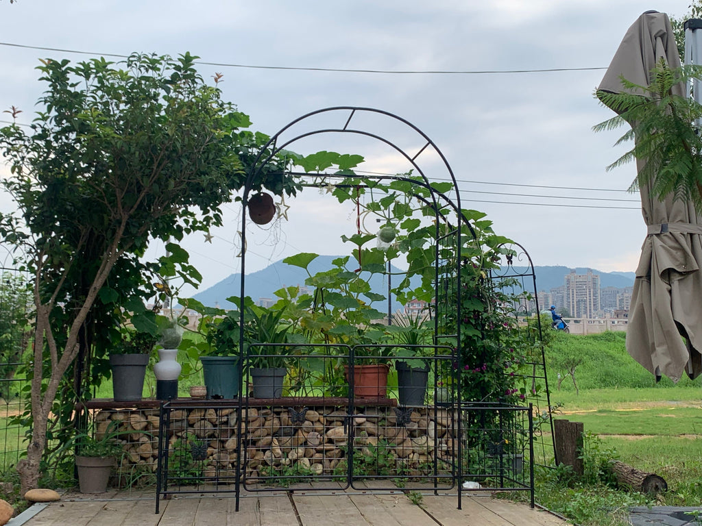 Garden Arch Arbor Trellis for Climbing Plants with Gate