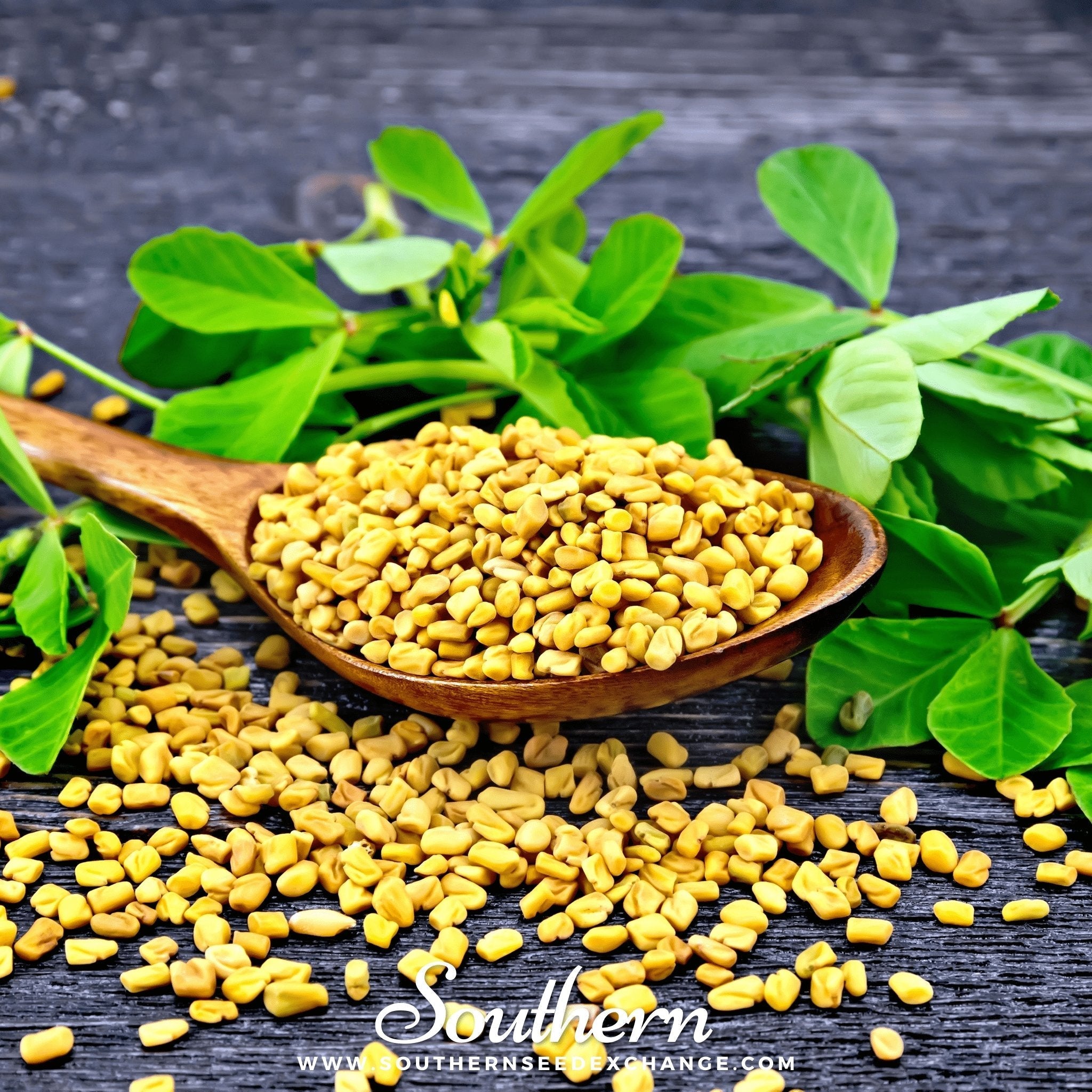 Fenugreek – 50 Seeds