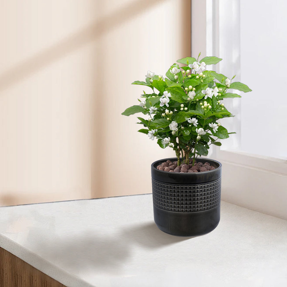 3 Pieces Ceramic Flowerpot, Modern Planter for Patio, Garden or Windowsills - Black