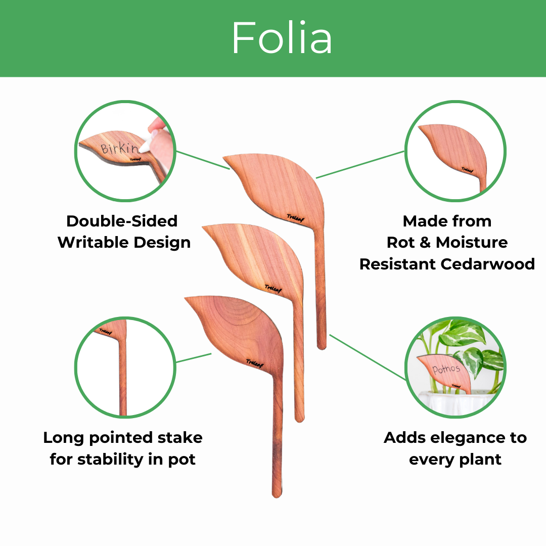 Folia™ - Wooden plant tags - Leaf-shaped plant labels