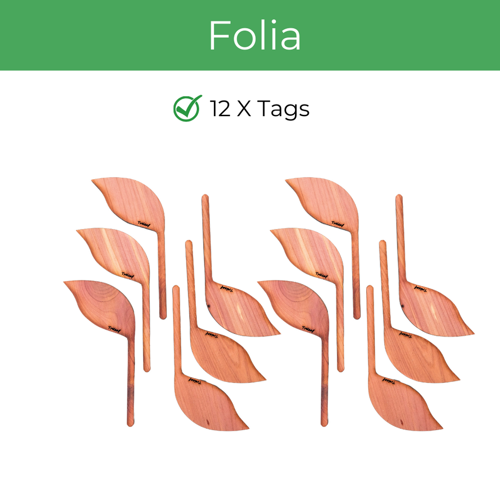 Folia™ - Wooden plant tags - Leaf-shaped plant labels
