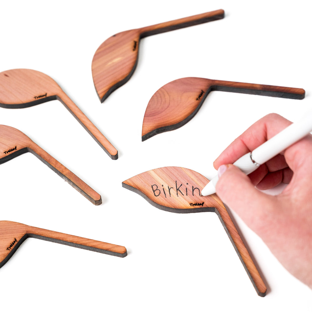 Folia™ - Wooden plant tags - Leaf-shaped plant labels
