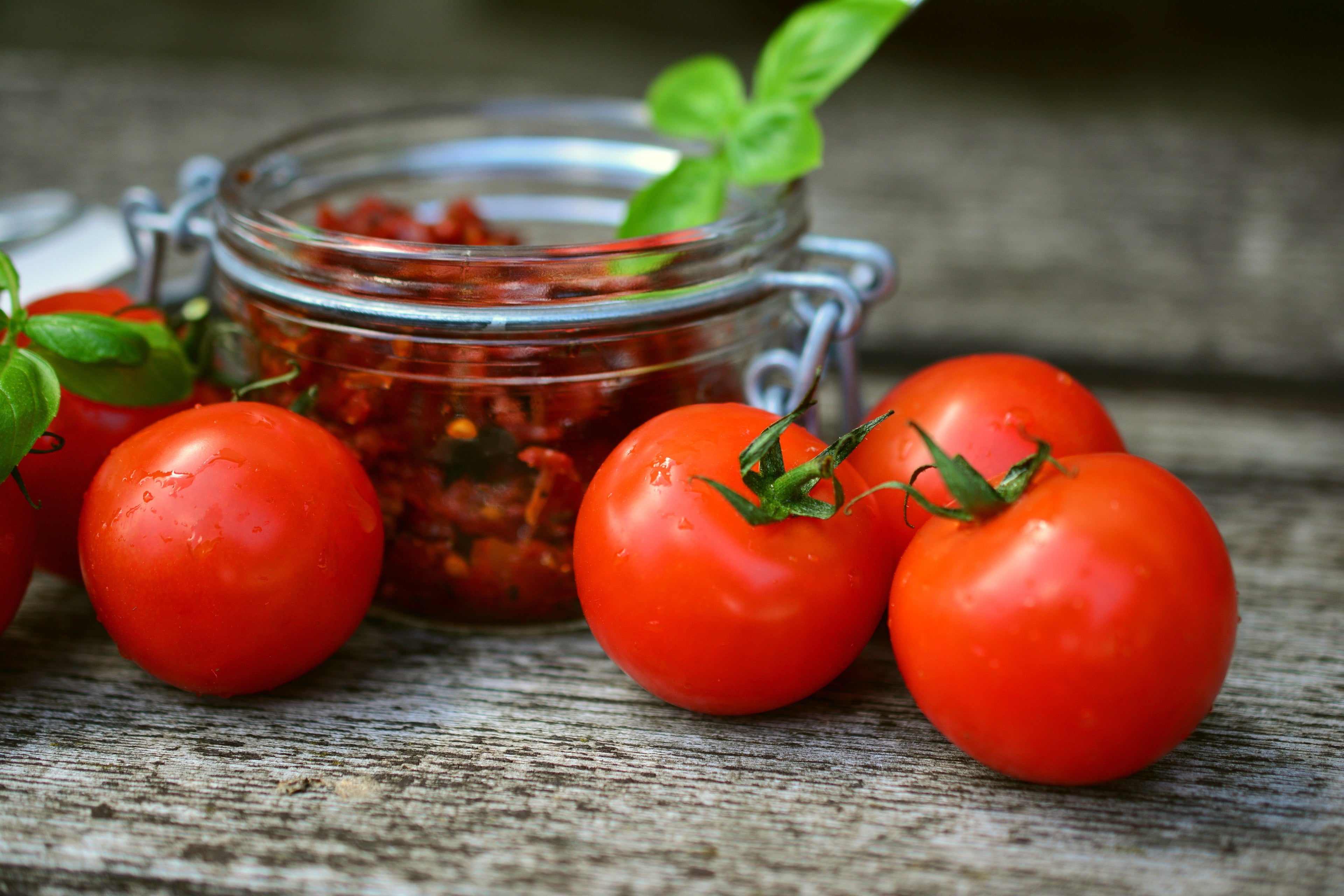 1 Oz Bulk ITALIAN TREE TOMATO 'Trip L Crop' Seeds - 1 Ounce = Approx 9500 Seeds