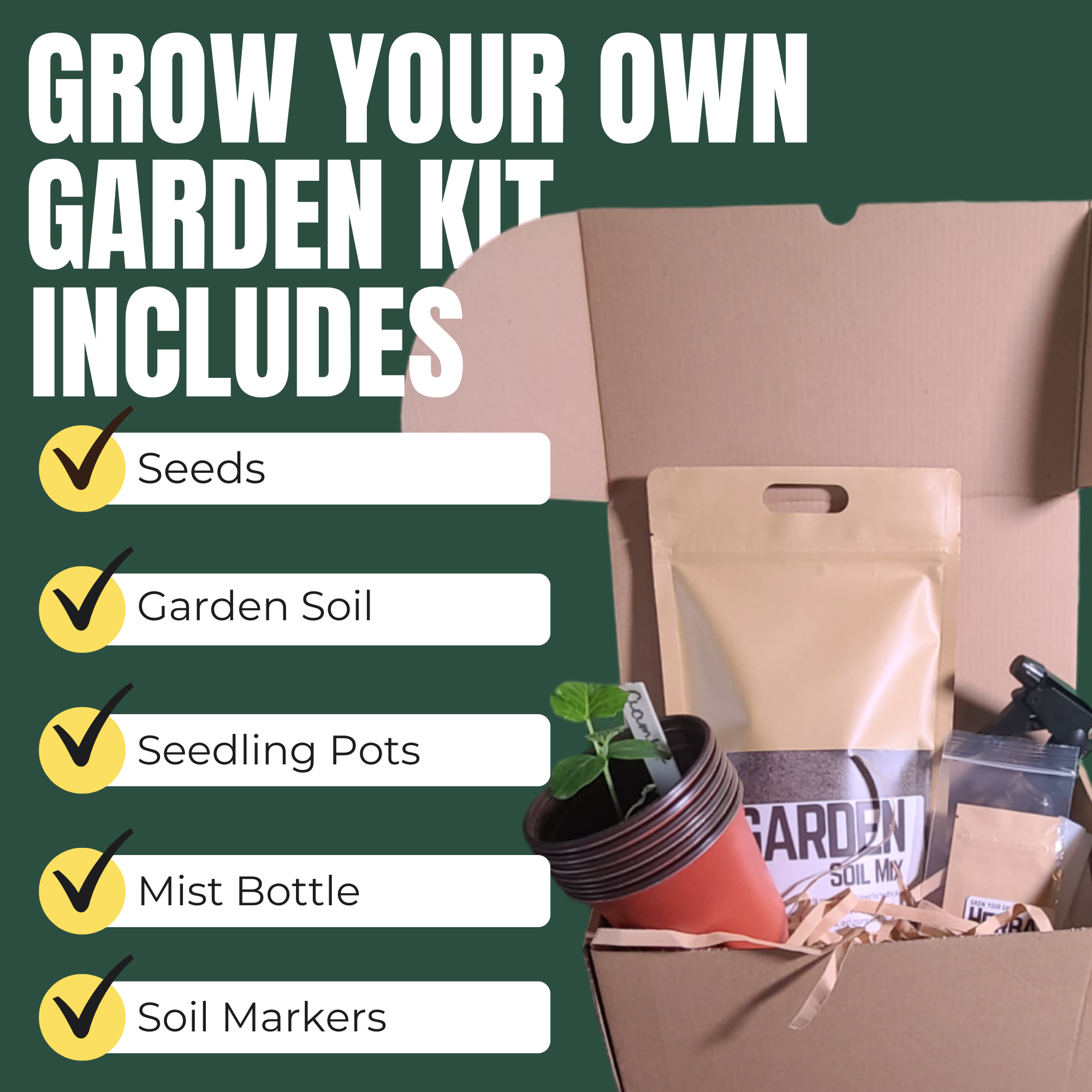 Grow Your Own Stir Fry Kit