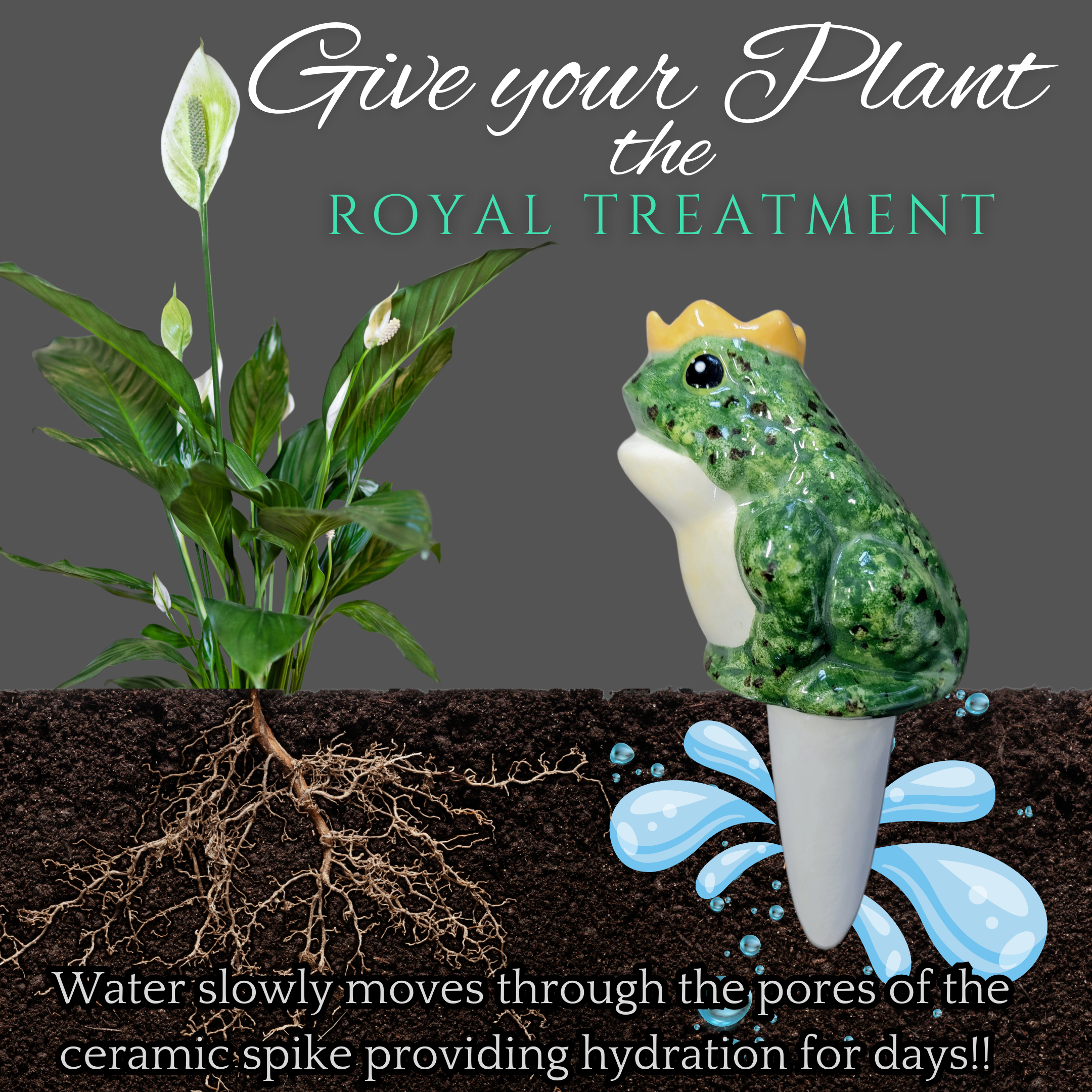 Prince Frog Watering Spike