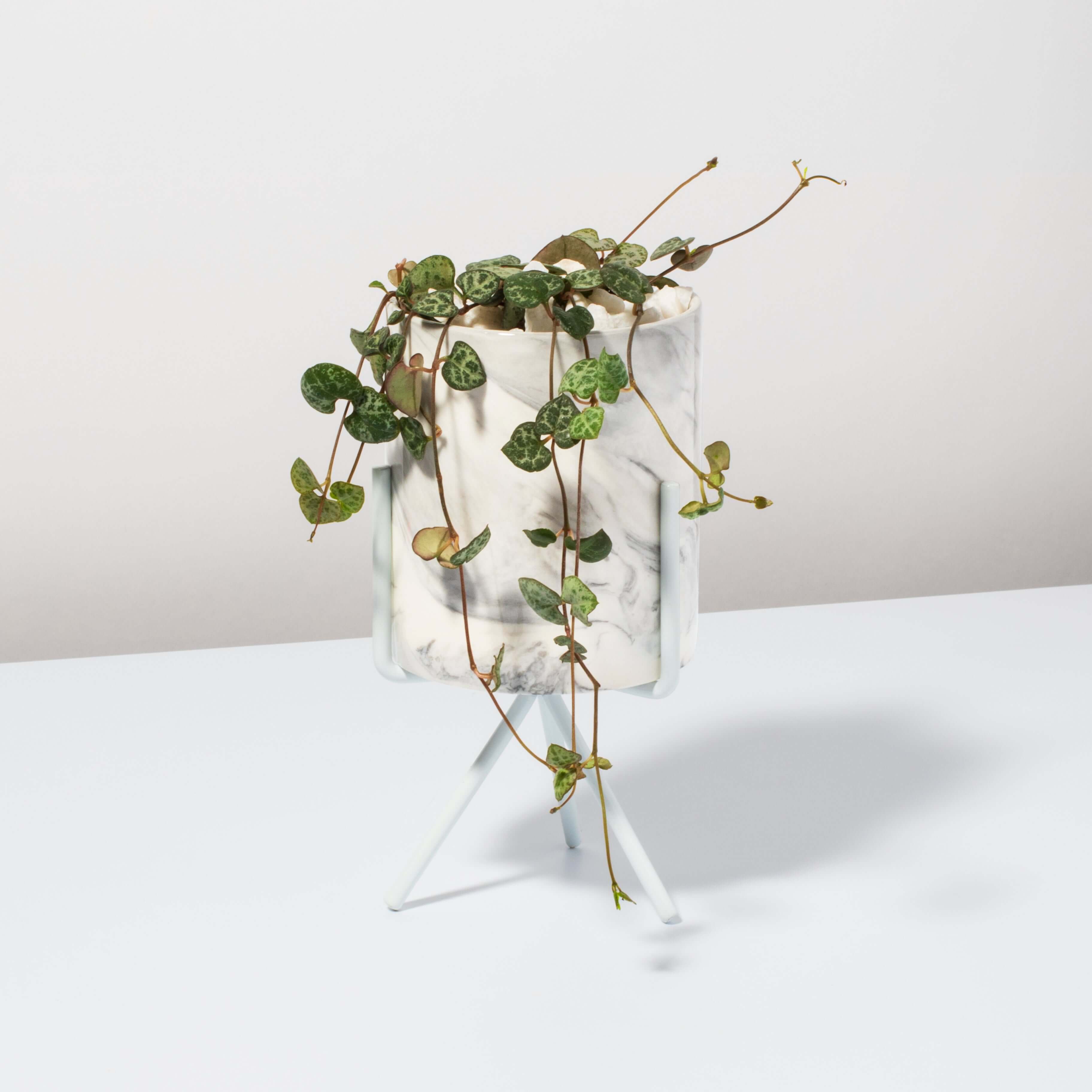 Olympia Planter Marble Effect - Empty