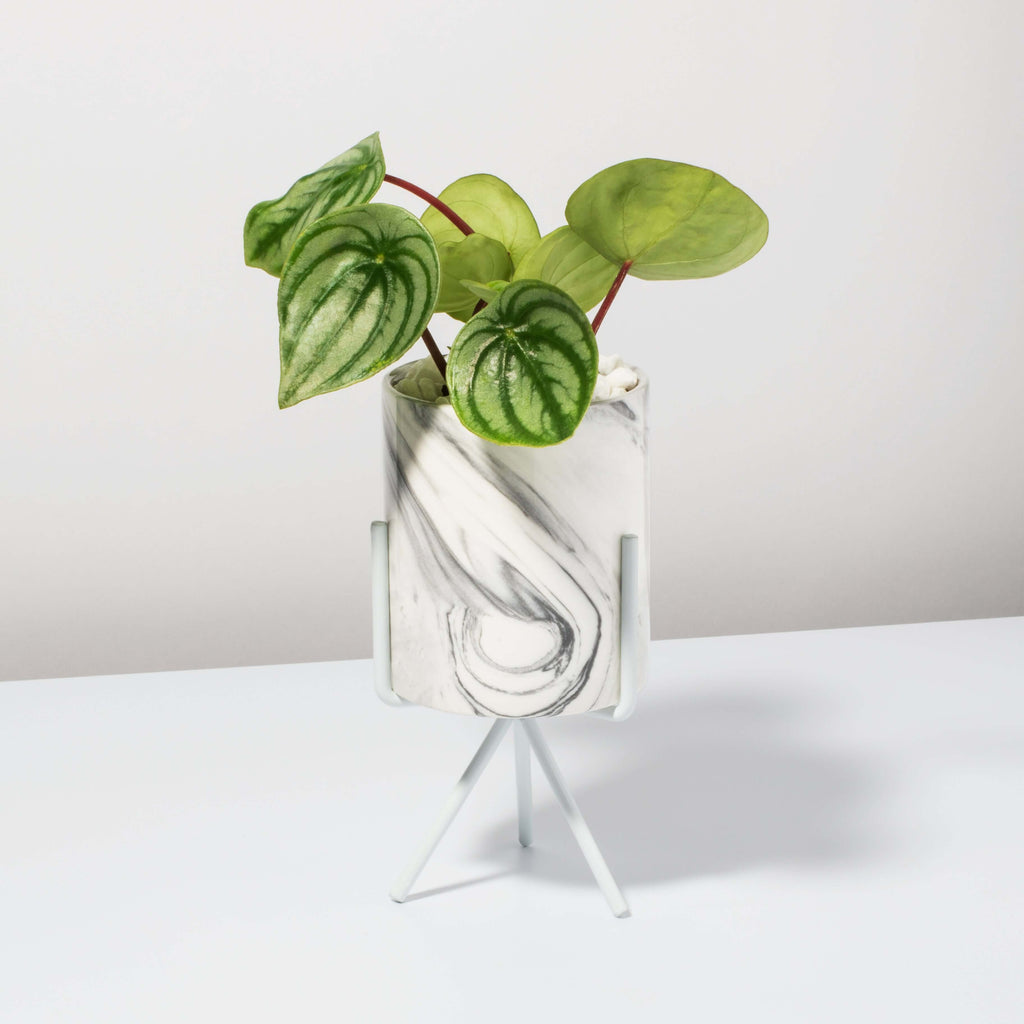 Olympia Planter Marble Effect - Empty