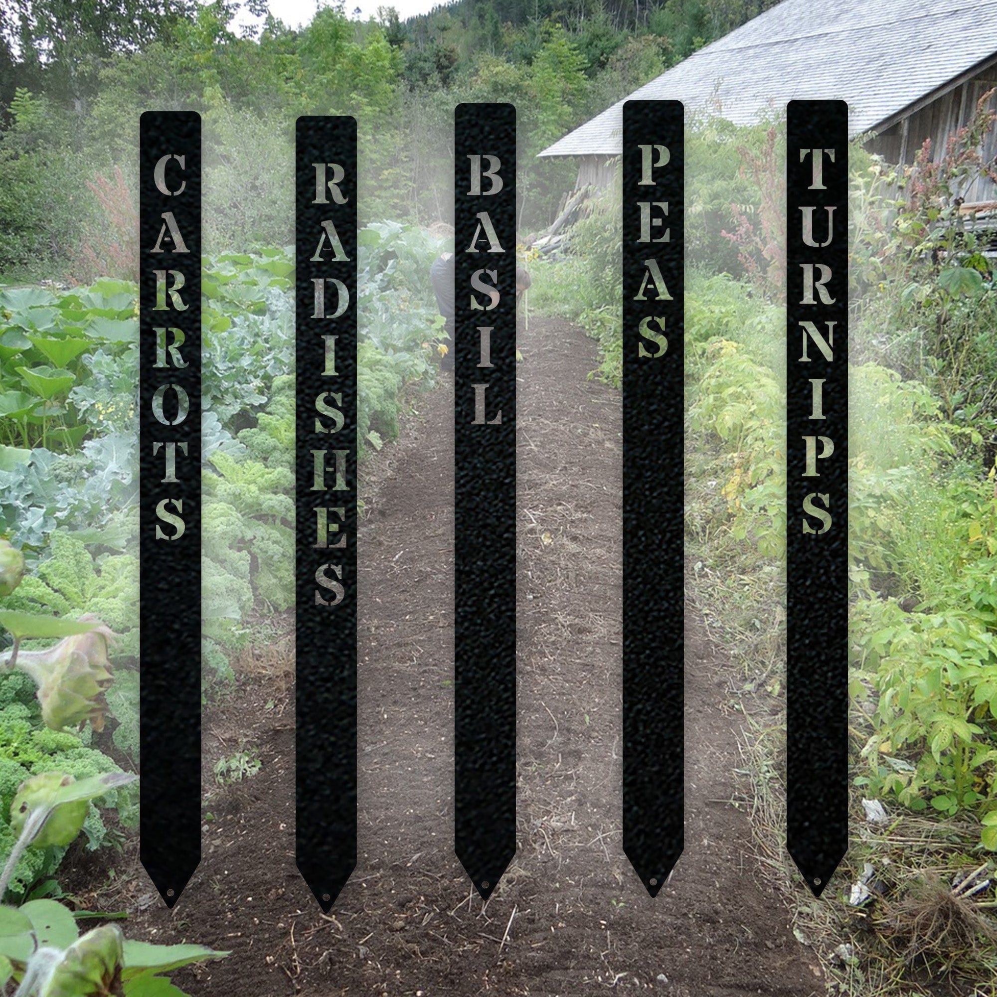 Gourmet Vegetable Stakes - Set of 5 - Custom Names and Colors