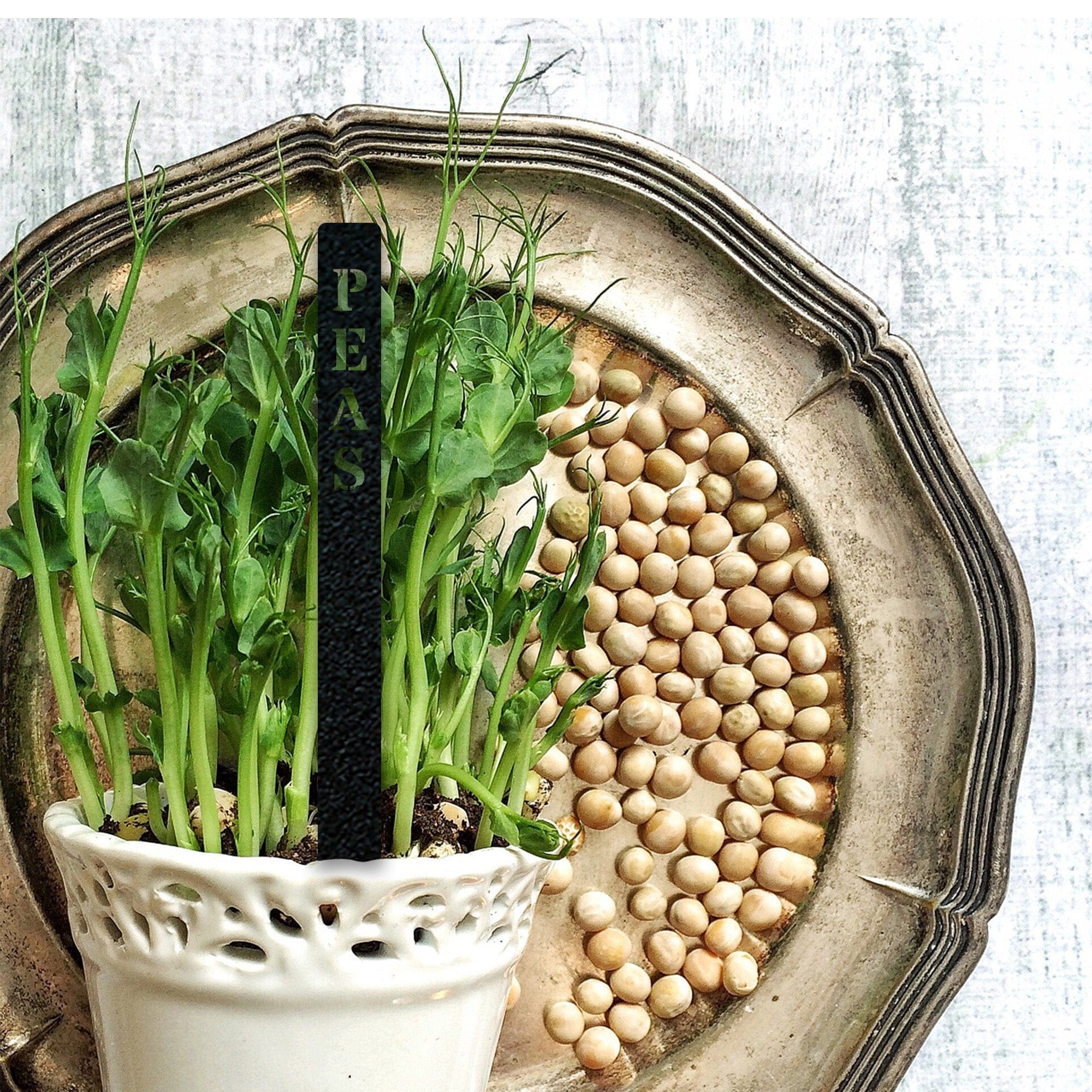 Gourmet Vegetable Stakes - Set of 5 - Custom Names and Colors