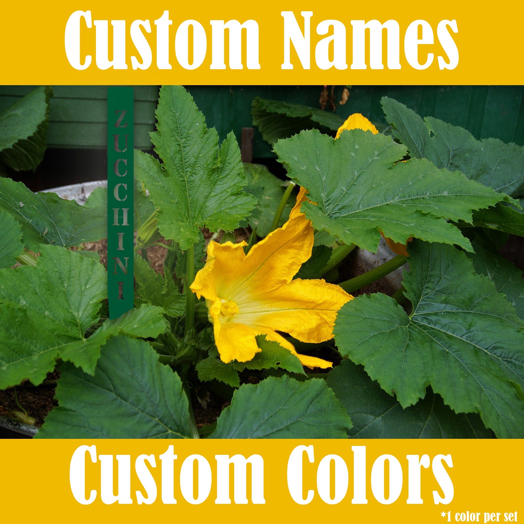 Gourmet Vegetable Stakes - Set of 5 - Custom Names and Colors