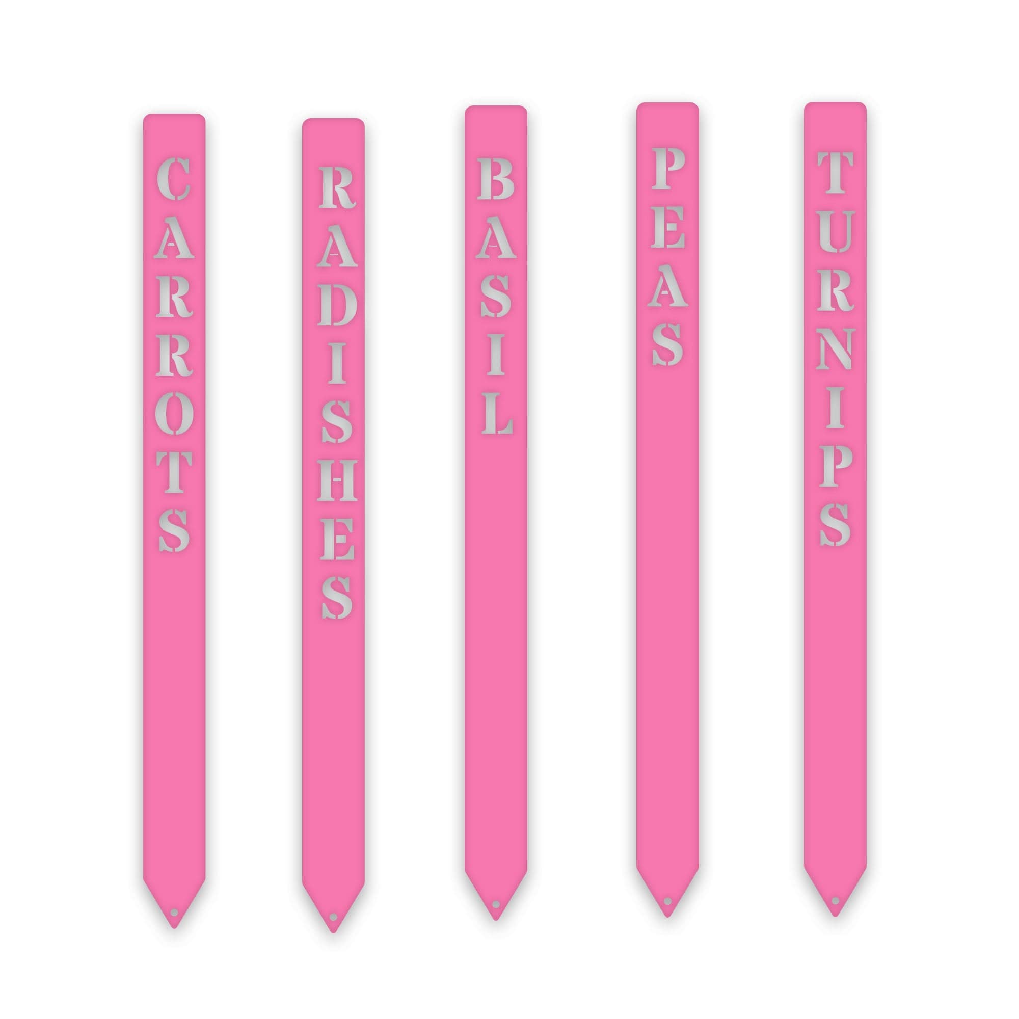 Gourmet Vegetable Stakes - Set of 5 - Custom Names and Colors