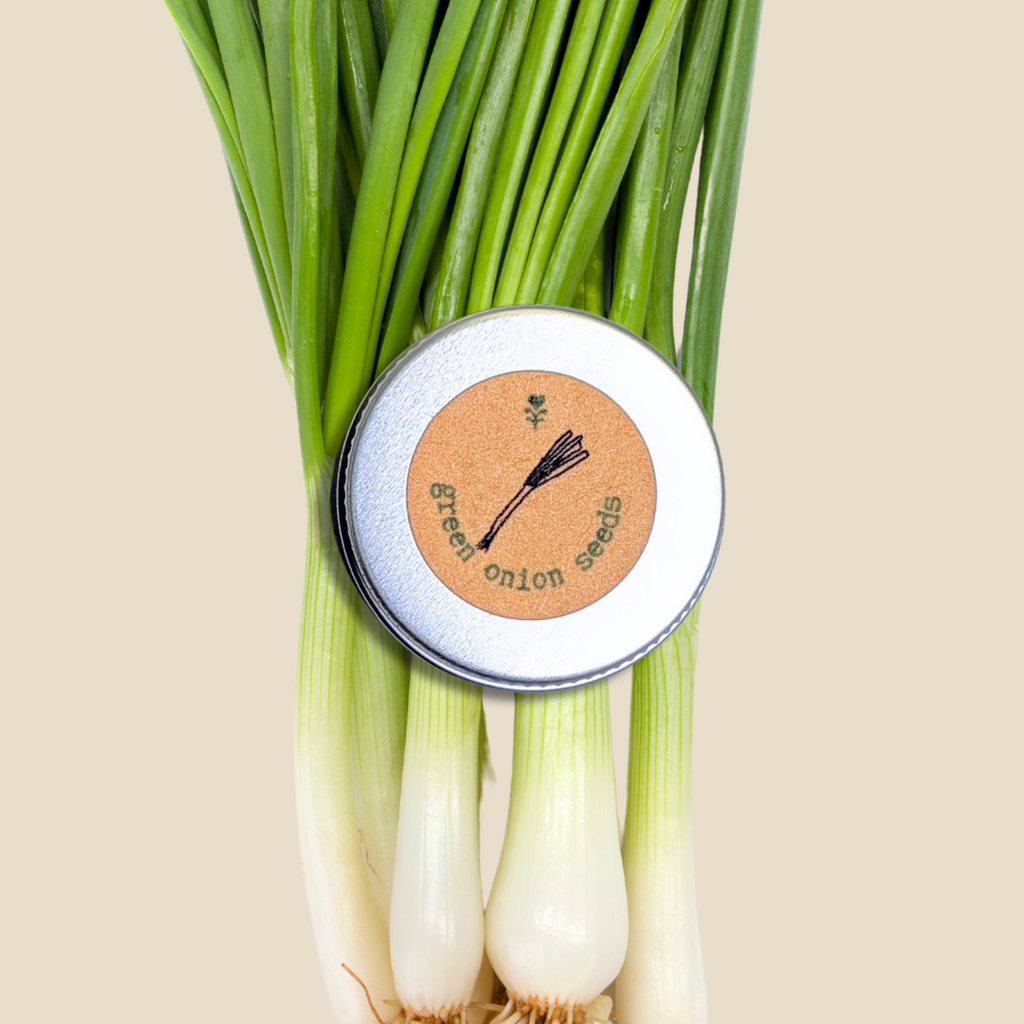 Organic Green Onion Seeds