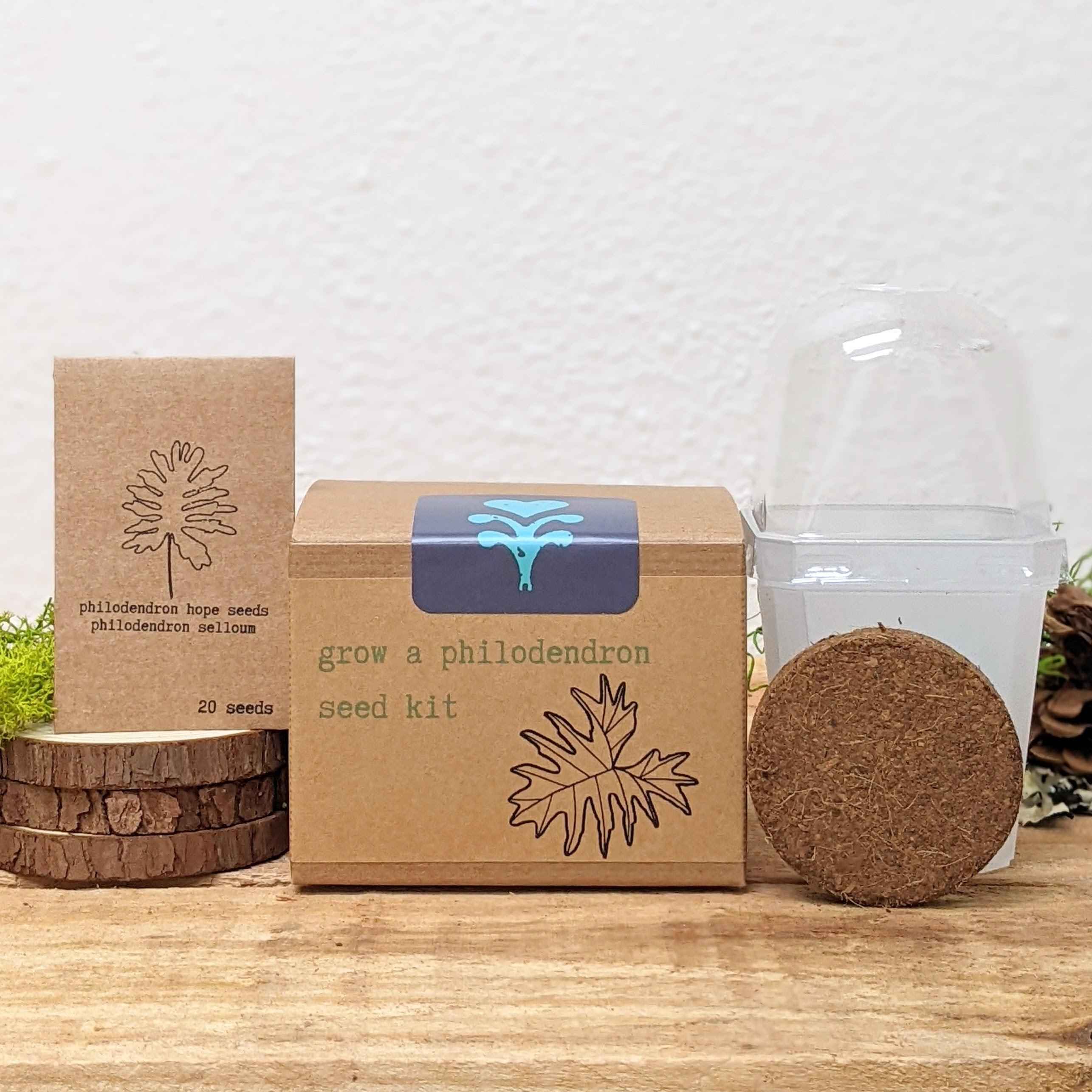 Grow a Philodendron Seed Kit