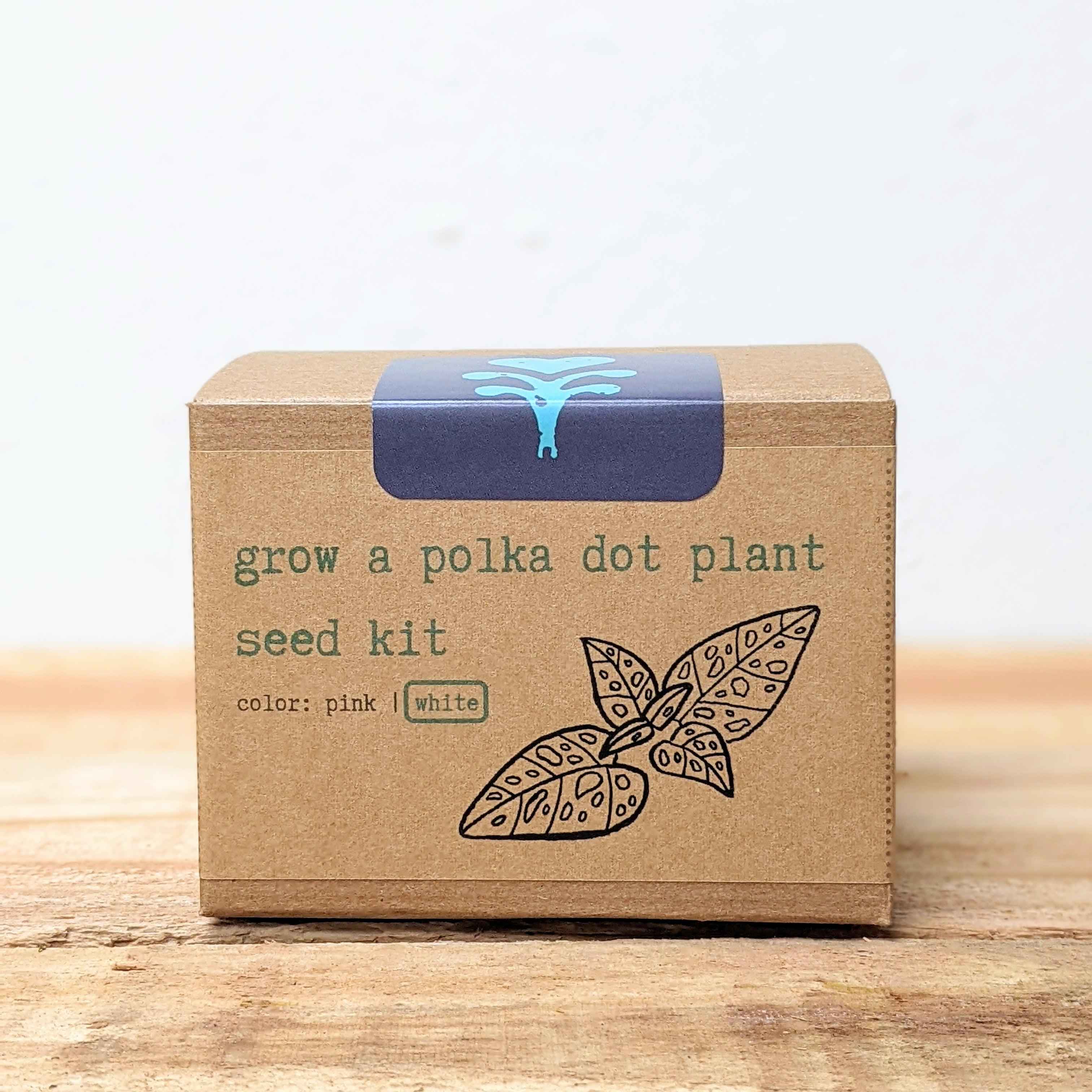 Grow a Polka Dot Seed Kit