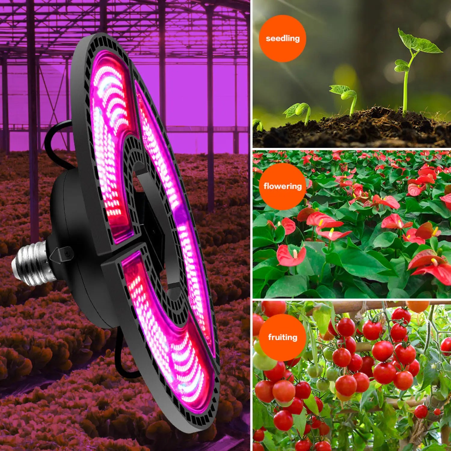 Grow Light LED with Red and Blue Spectrum for Plants