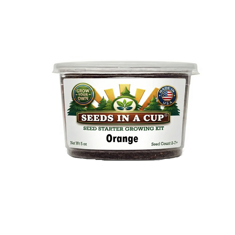 Orange Tree Grow Kit | Grow Your Own Oranges from Seed | Seeds In A Cup®