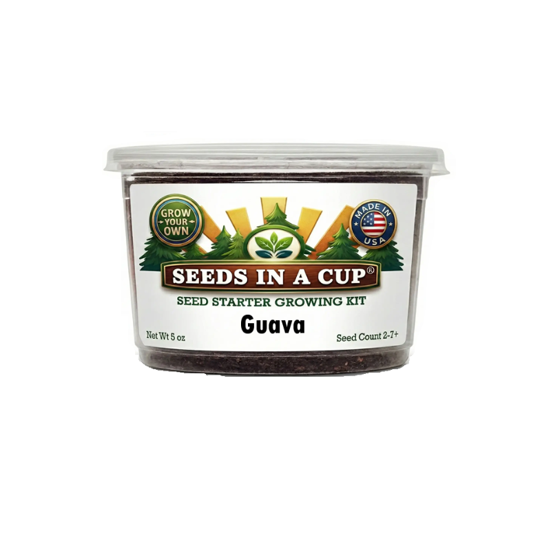 Guava Tree Grow Kit | Grow Tropical Guava from Seed | Seeds In A Cup®