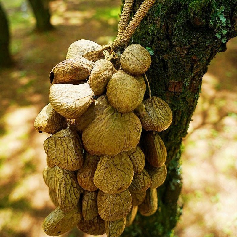 Hand Bell | Handmade Panji Seed Shaker